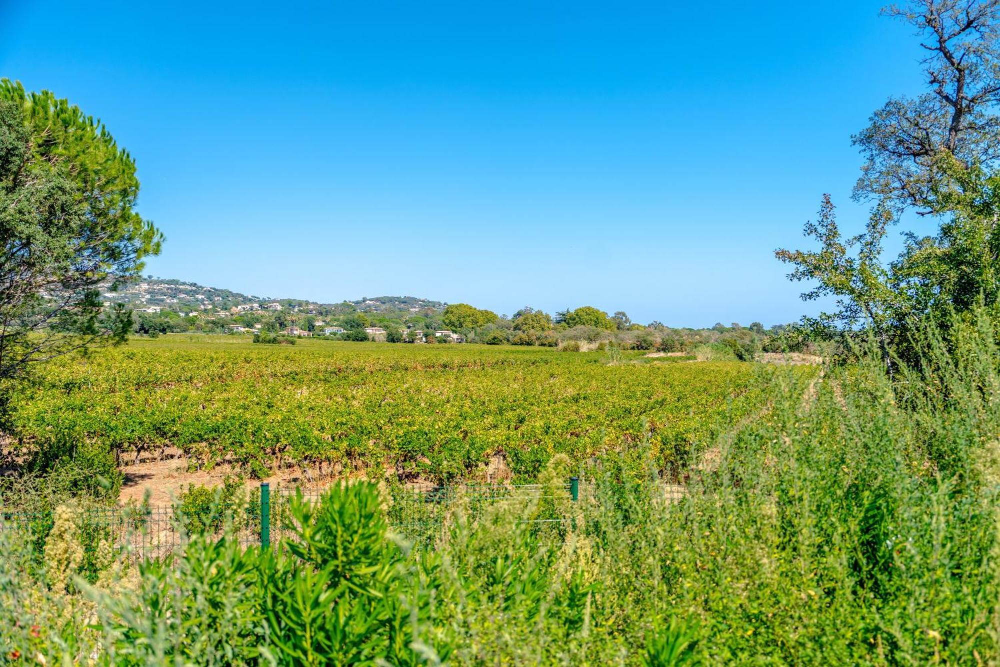 Villa Grimaud Dış mekan fotoğraf